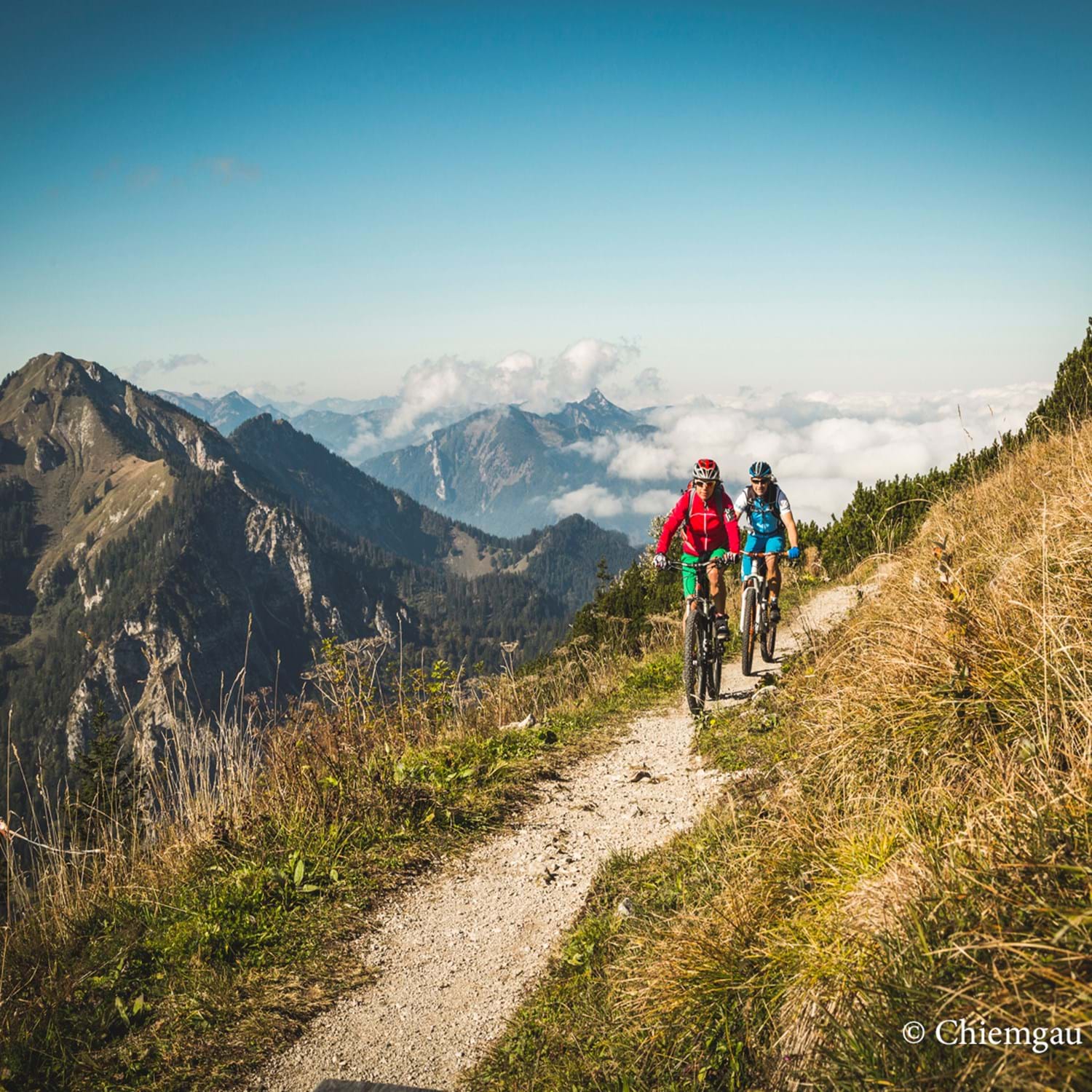 Rad_FS_2015_1 (42).jpg