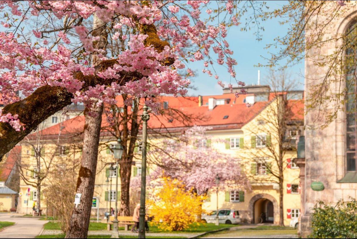 2026-098 Frühling Traunstein Salinenareal