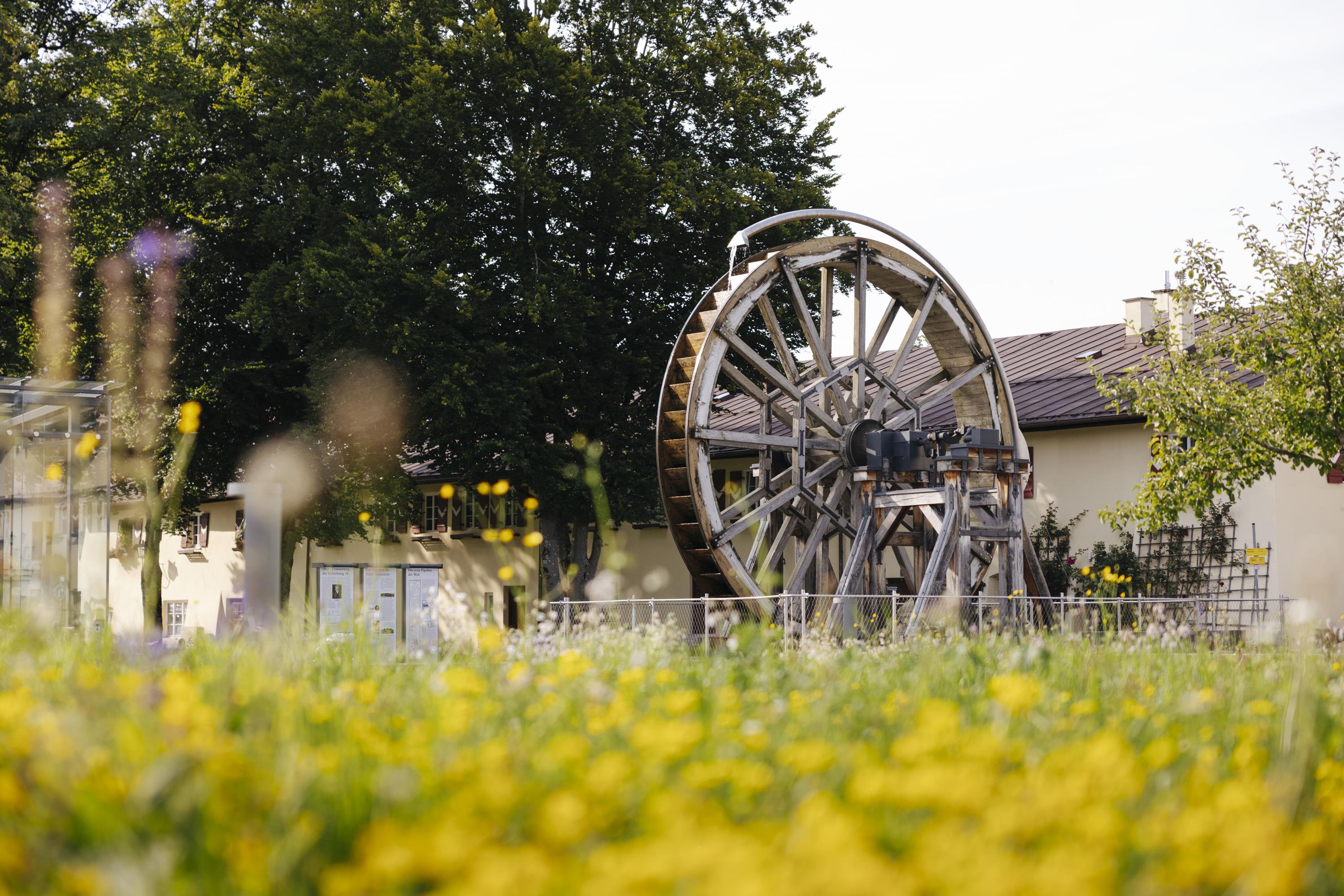 2026-169 Naturspaziergang am 25. Juli