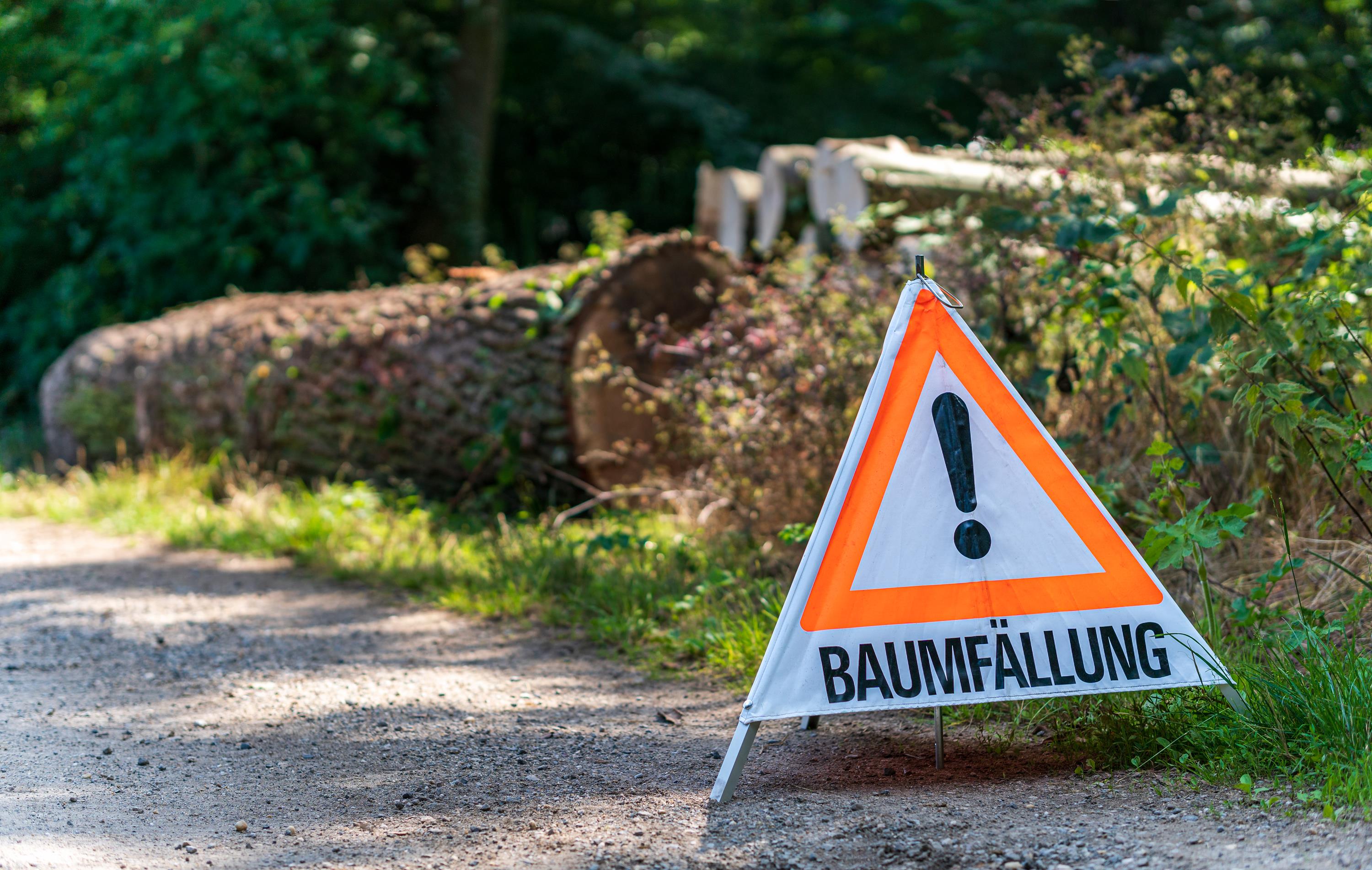 Achtung Baumfällung iStock Sebastian Frank