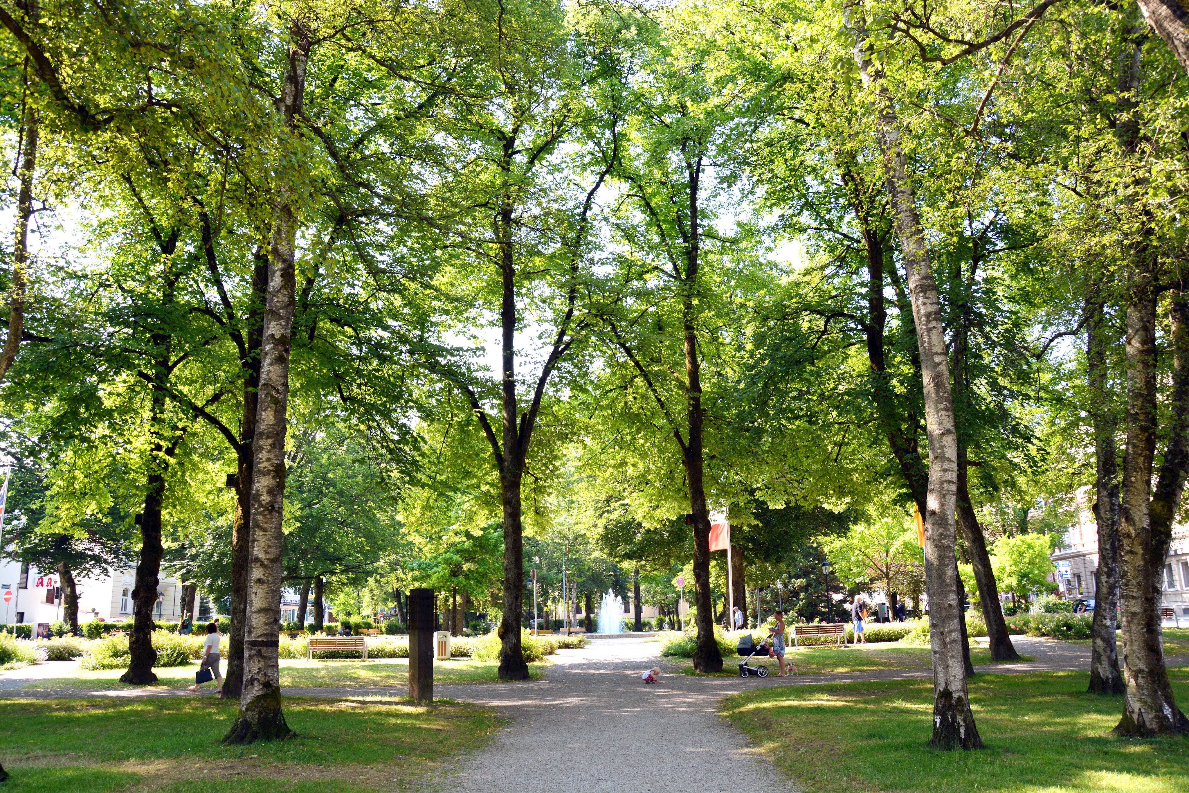 Stadtpark Traunstein Leider haben wir keinen Alternativtext zu diesem Bild, aber wir arbeiten daran.