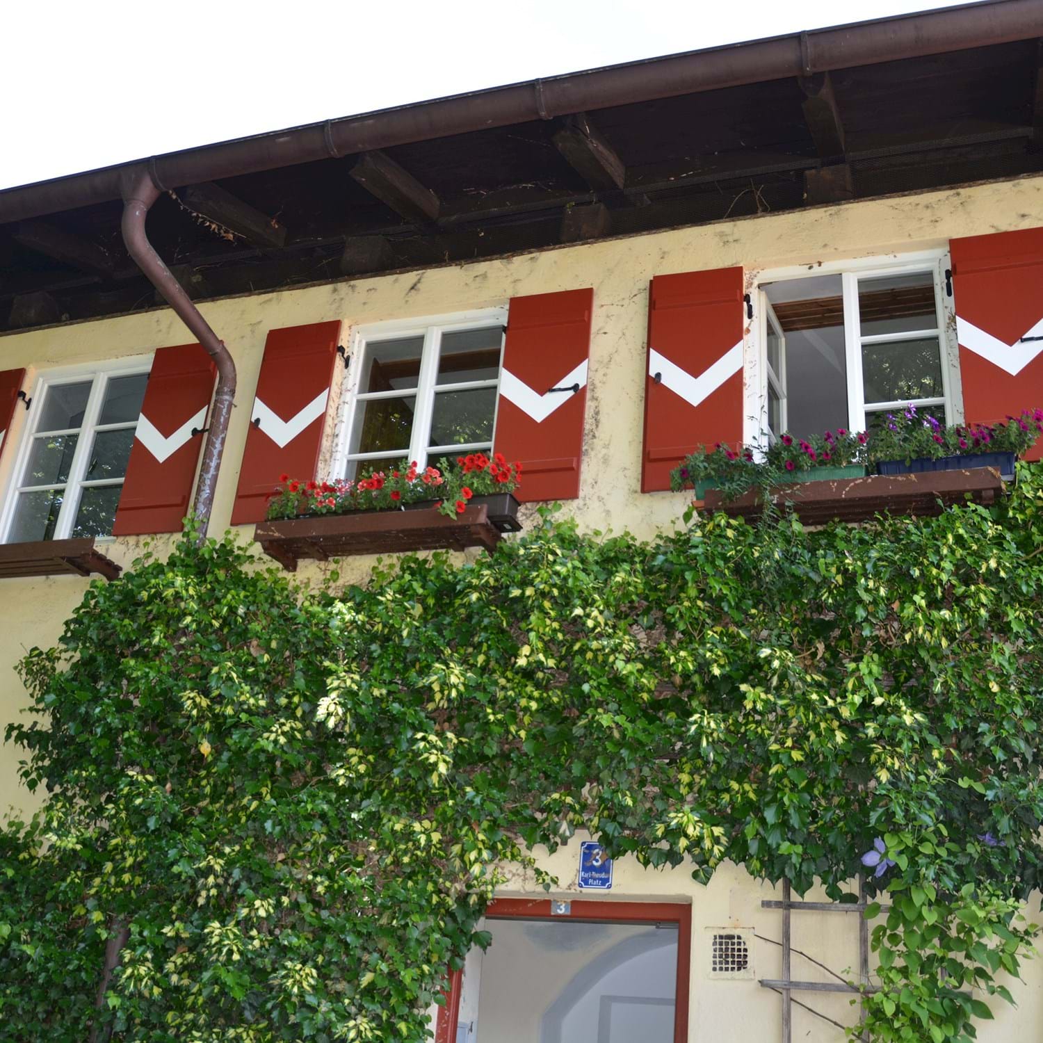 Albertistock Traunstein