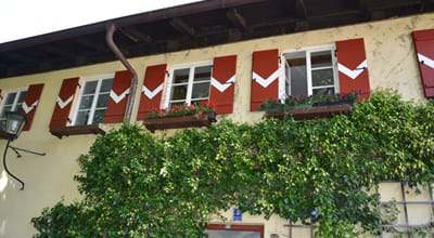 Albertistock Traunstein