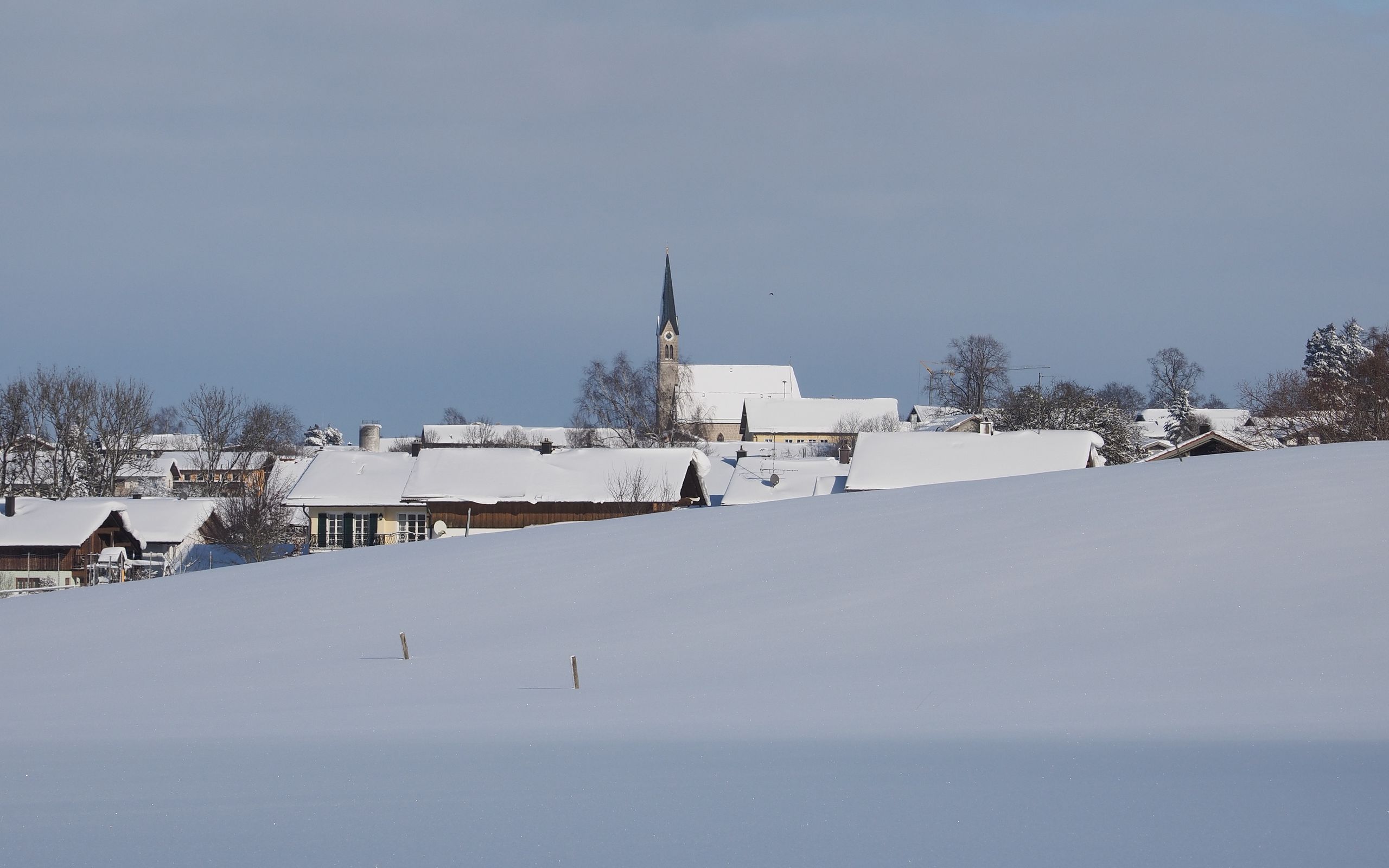 © Günter Steines