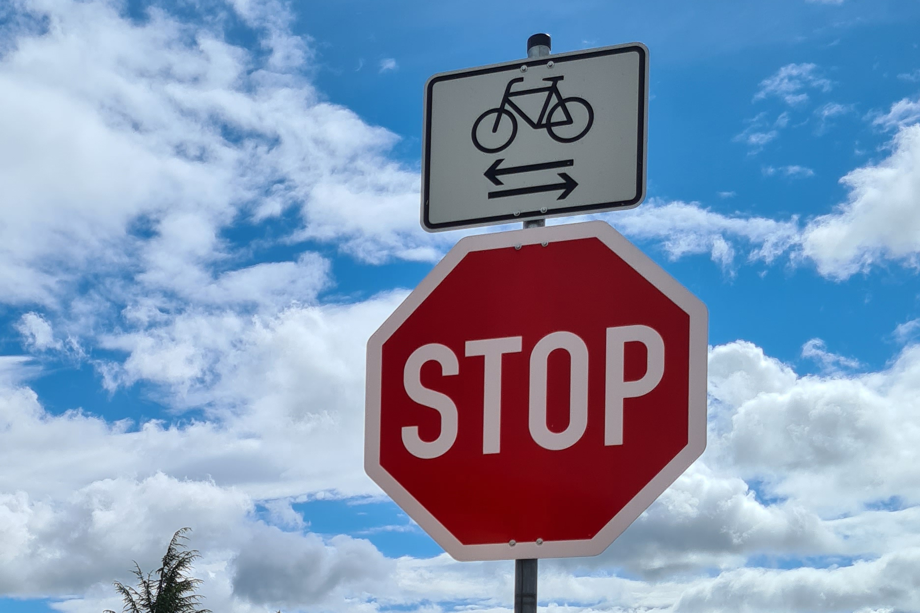 Fahrradfahrer kreuzen Stopp-Schild.jpg
