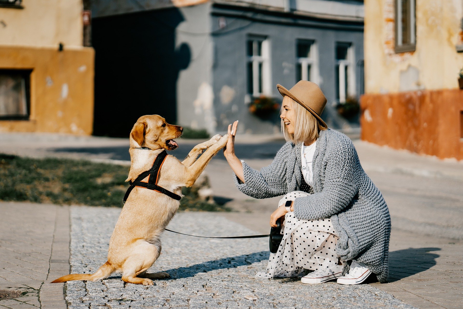 Hund Frau.jpg